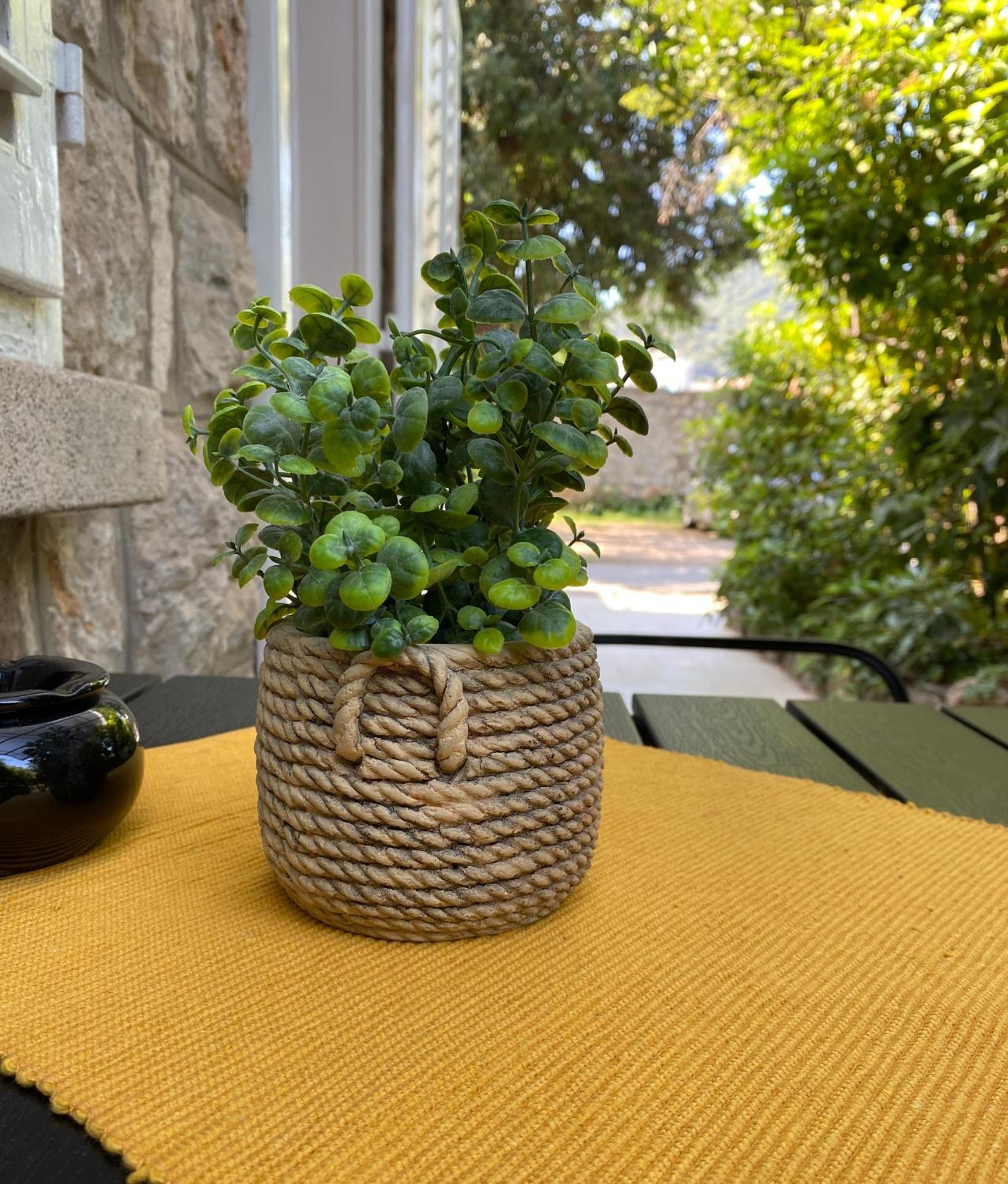 Apartment Mario Dubrovnik Ngoại thất bức ảnh